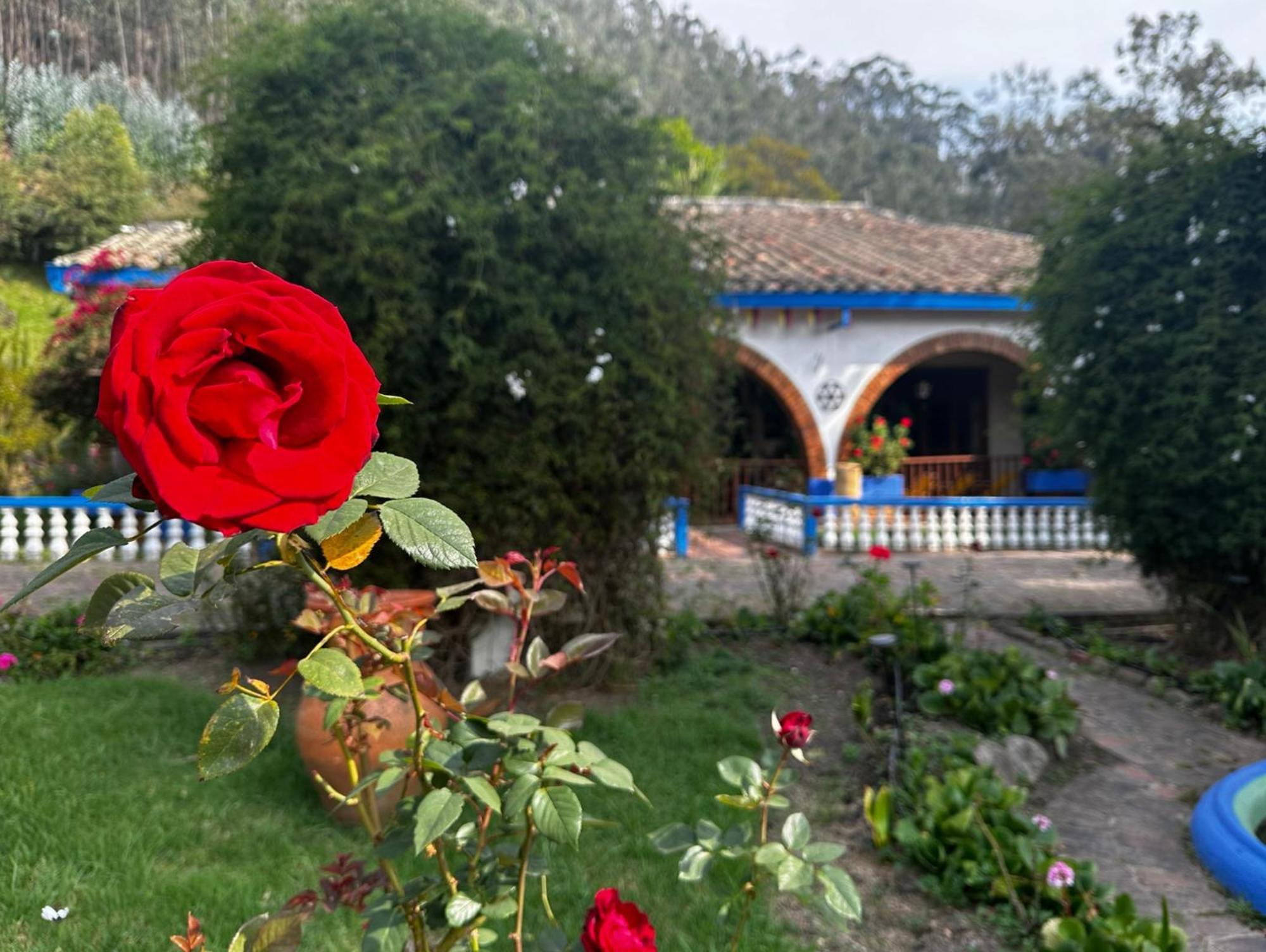 Finca San Pedro -Alojamiento Campestre Y Reserva Natural- Sogamoso Exterior foto
